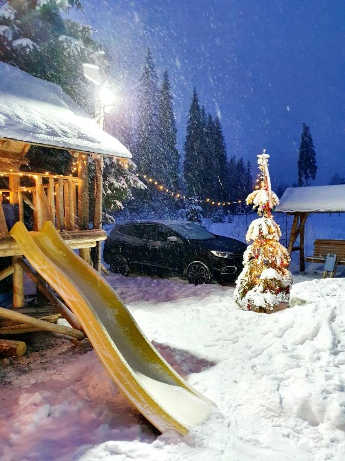 Apartament Enduro Transalpina Obârşia Lotrului Zewnętrze zdjęcie