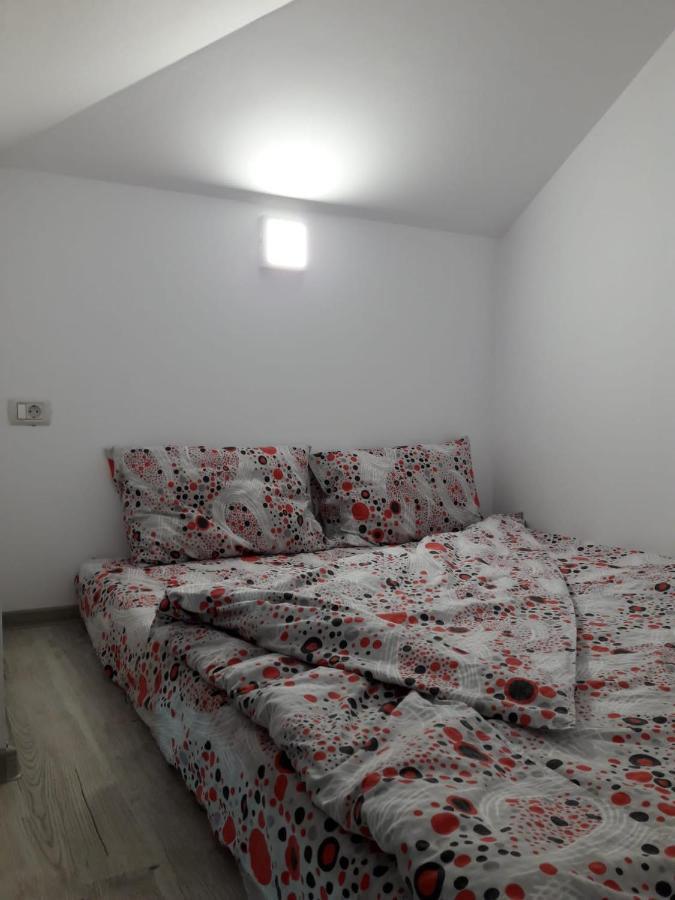 Apartament Enduro Transalpina Obârşia Lotrului Zewnętrze zdjęcie