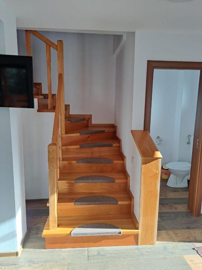 Apartament Enduro Transalpina Obârşia Lotrului Zewnętrze zdjęcie