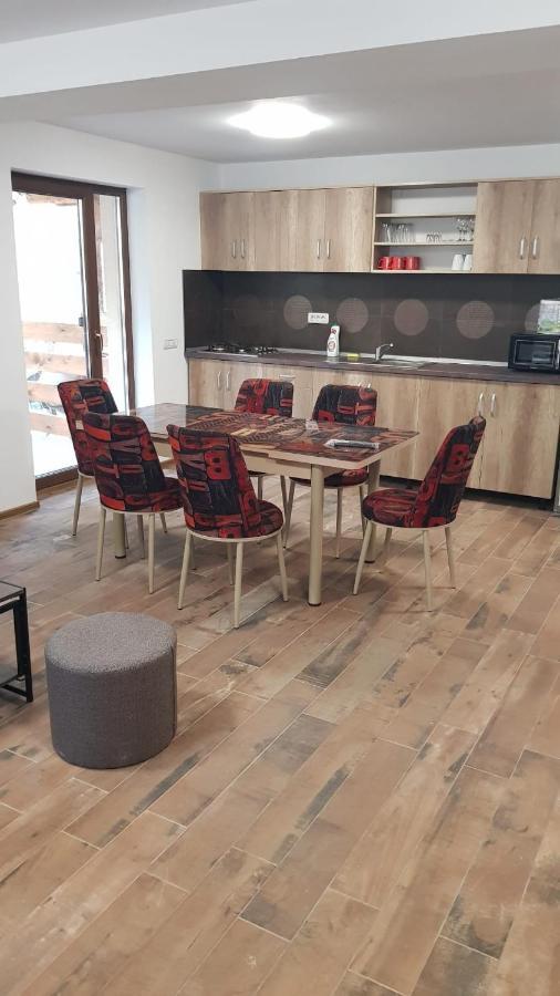 Apartament Enduro Transalpina Obârşia Lotrului Zewnętrze zdjęcie