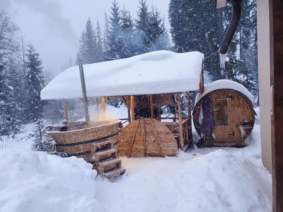 Apartament Enduro Transalpina Obârşia Lotrului Zewnętrze zdjęcie